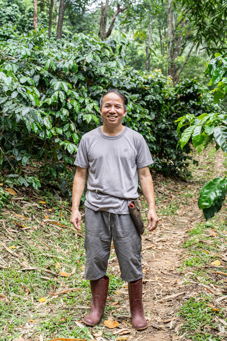 Khun Jaroon filter coffee — natural process, Khun Lao, Chiang Rai border, 50 years farming tradition | Left Hand Roasters