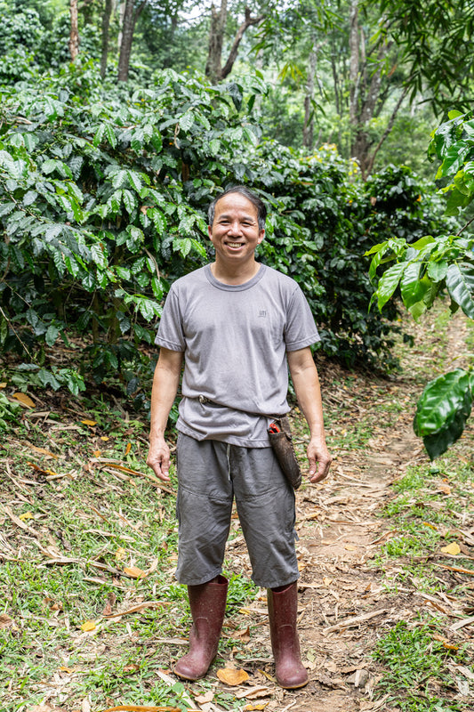 Khun Jaroon filter coffee — natural process, Khun Lao, Chiang Rai border, 50 years farming tradition | Left Hand Roasters
