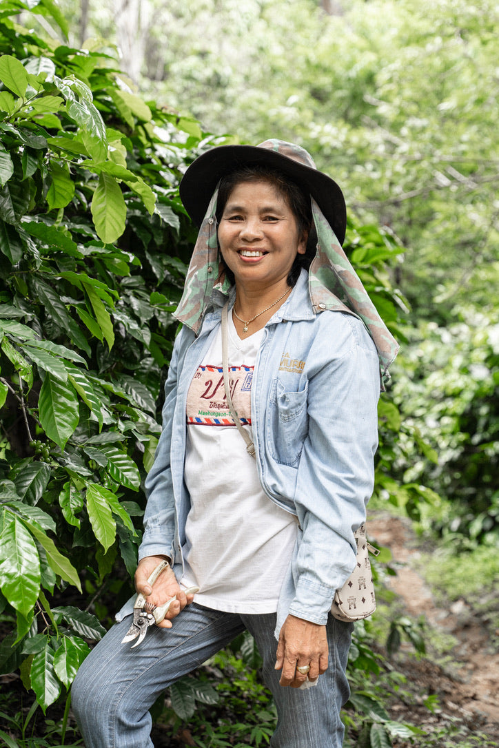 P'Sri filter coffee — honey process, Khun Lao, Chiang Mai-Chiang Rai border | Left Hand Roasters