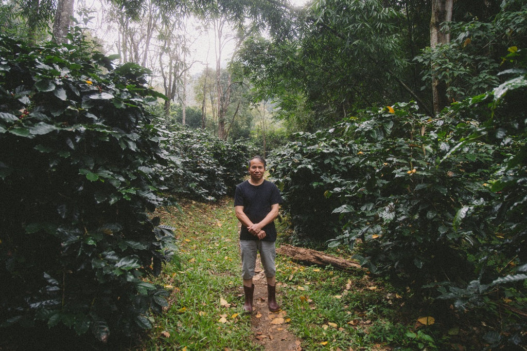 Khun Jaroon (Filter Coffee)