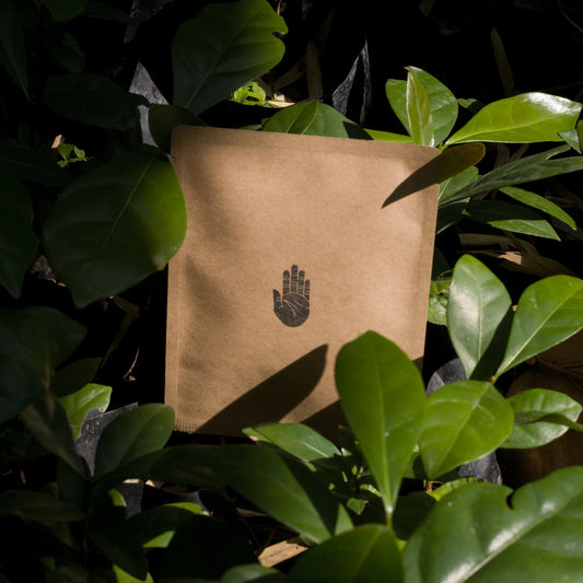 Espresso Blend Drip Bags (10pc)