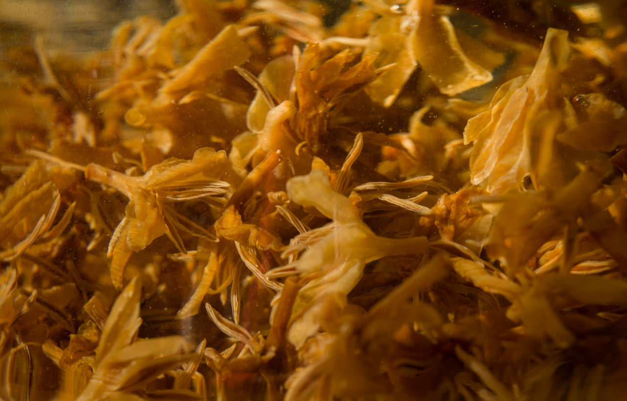 Coffee Blossom Tea