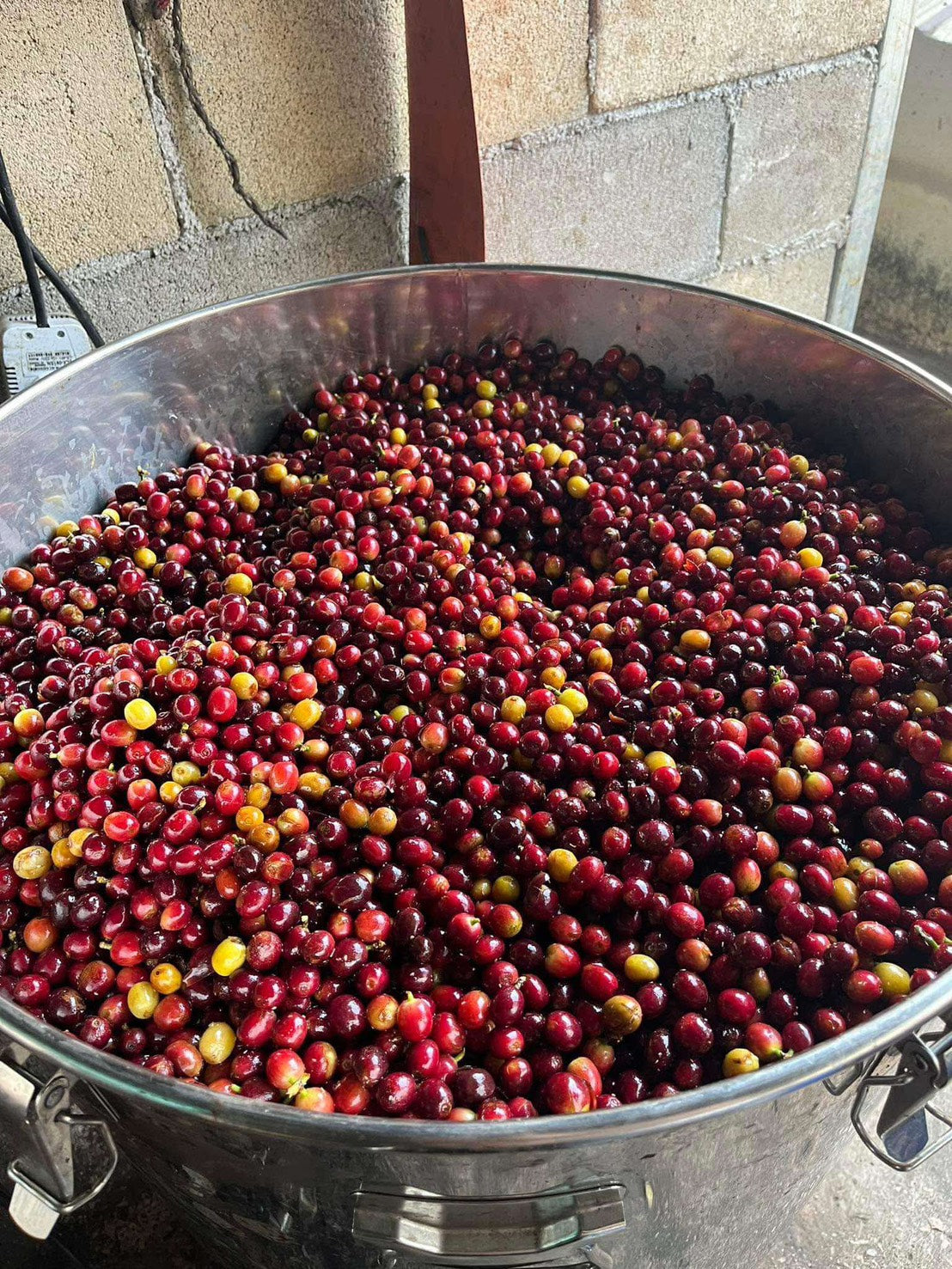 Ma Family coffee