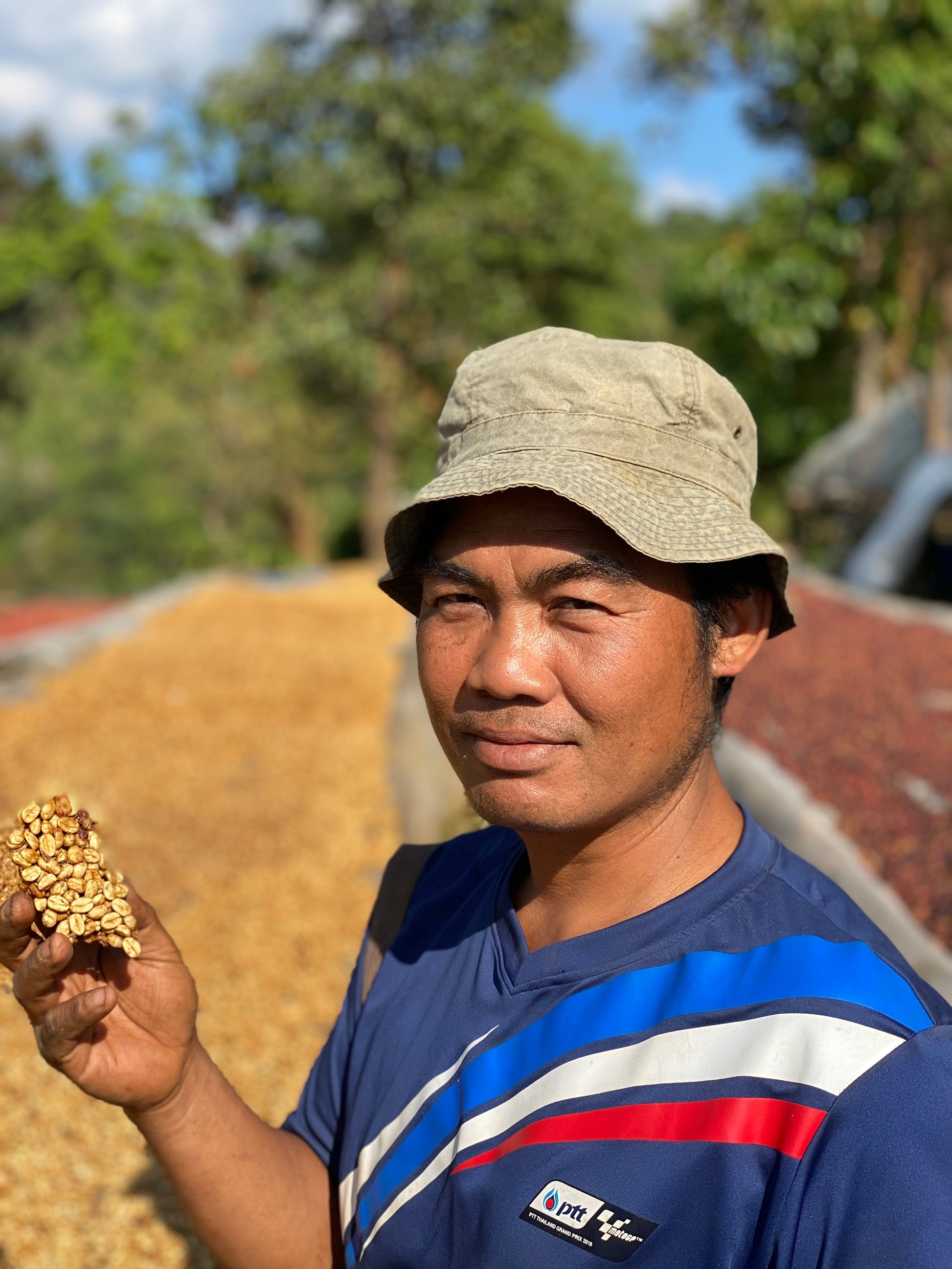 Chang Pao filter coffee — washed process, Le Tor Glo, Tak Province, forest conservation farm | Left Hand Roasters